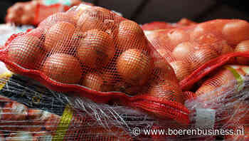 Korte werkweek goed voor stemming op uienmarkt