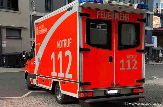 Kleiner Jahresbericht der Berliner Feuerwehr / Erstaunlich, was man für 25 Cent am Tag bekommt ... oder eher verlangt!