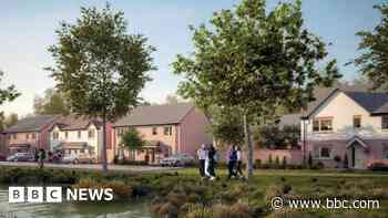 Druids Heath masterplan revealed in pictures