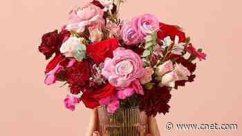 41 Best Last-Minute Mother's Day Gifts in 2024     - CNET