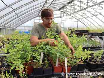 Aamjiwnaang: Living in the shadow of Sarnia's Chemical Valley