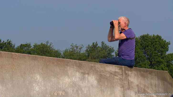 Maaiseizoen is begonnen: zo red je kuikens van een grasmaaierdood