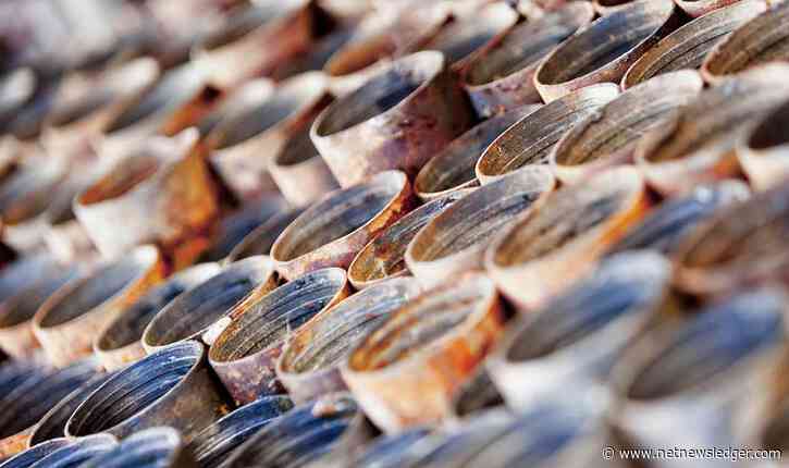 Red Pine Provides Further Update On Assay Results for Wawa Gold Project