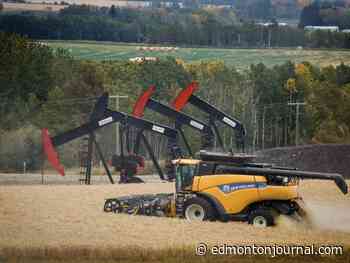 Alberta's oil helps offset interest rate ramifications: report