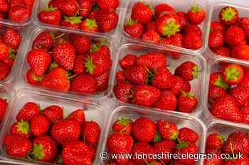 Is there a shortage of strawberries in the UK? Find out why