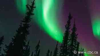 Here's how to watch tonight's 'amazing' aurora borealis on the Prairies