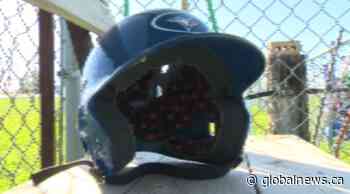 Holdfast baseball diamond receives cash infusion