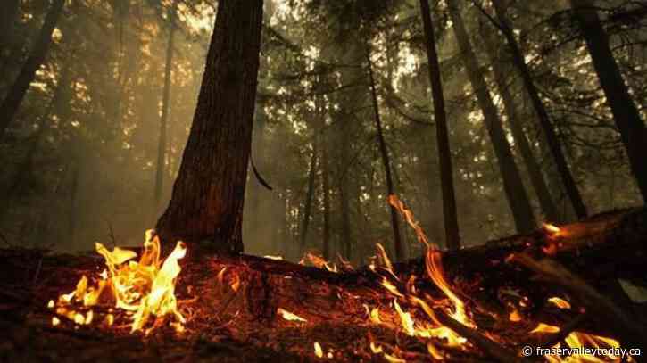 Wildfire triggers evacuation of ‘multiple neighbourhoods’ in Fort Nelson, B.C.