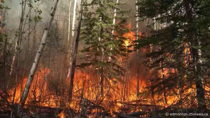 Grande Prairie County No. 1 under evacuation due to wildfire