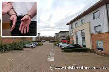 Milicent Grove, Enfield murder: Man to appear in court