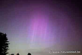 “Spektakel en dan nog wel gratis vanuit je eigen tuin”: zo beleefden Limburgers unieke noorderlicht-nacht