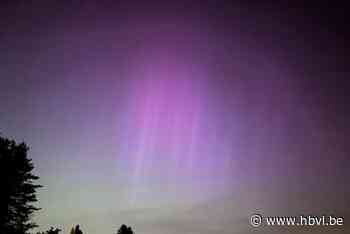 “Spektakel en dan nog wel gratis vanuit je eigen tuin”: zo beleefden Limburgers unieke noorderlicht-nacht
