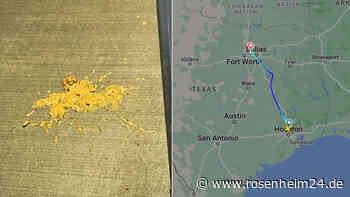 Hund k***t in First Class und sorgt für Notlandung von Flugzeug