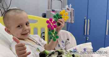 Zieke Zeb (5) weer terug uit Rome: ‘We kunnen hem niet meer beter maken’