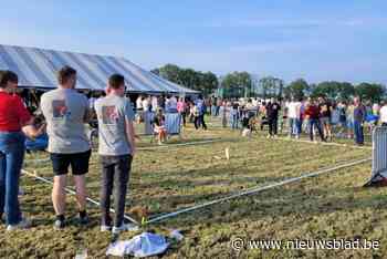Jeugdster Wuustwezel organiseert kubbevenement voor meer dan driehonderd deelnemers: finale pas na middernacht