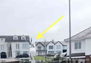 Video: motormuis denkt dat hij kan vliegen