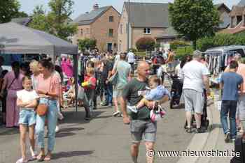 Meer dan 270 standen op rommelmarkt