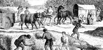 Future Pandemics Will Have The Same Human Causes As Ancient Outbreaks