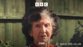 100 cards for Tile Hill's Elsie