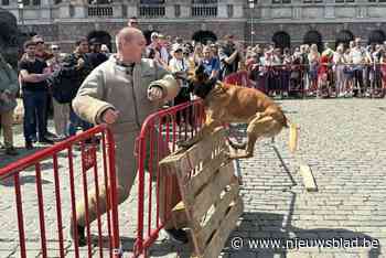 Politie toont zich op Grote Markt met motards, fietsteam en honden Victor en Thor