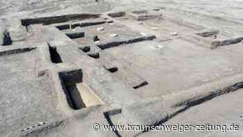 Mistkäfer bringt Forscher auf die Spur von Pharaonen-Palast