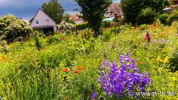 Für Muttertag und Co.: Darf ich Blumen einfach pflücken?