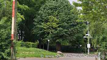 Kommentar zum Bürgerbegehren: Demokratie wächst von unten