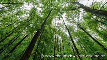 Navi lotst Hobbyfotografen auf Irrwege im Harz – Polizeieinsatz