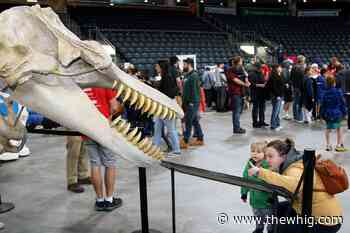 Plenty to marvel at during annual Queen's Science Rendezvous event