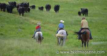 Switzer Ranch staying resilient with long-term outlook