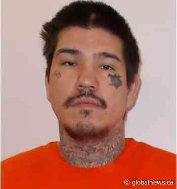 Calgary police turn to public to help locate man wanted on warrants