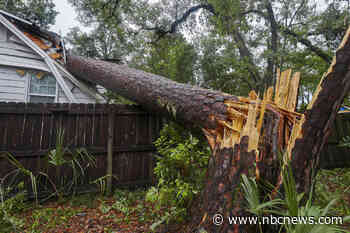 Deadly thunderstorms and strong winds in Florida leave destruction in their wake