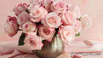 Best Flower Delivery Deals: Last-Minute Floral Bouquets Just in Time for Mother's Day     - CNET