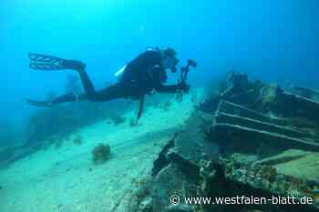 Hauptstadt der Taucher: Wassersportler aus Warburg unterwegs in Florida