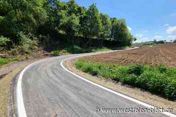 Neuer Radweg schlängelt sich von Warburg in Richtung Nordhessen