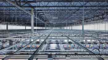 Der Energiehunger der großen KI-Player