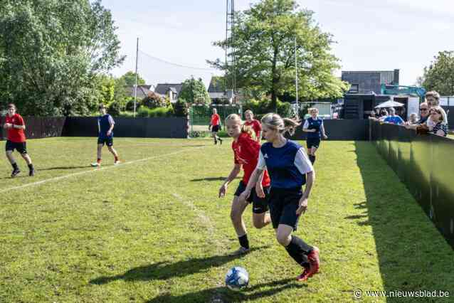 Negende Hamse Boardingtoernooi combineert sportbeleving en festivalsfeer