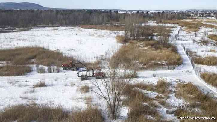 Northvolt should turn Quebec into a major EV player. So why are people so unhappy?