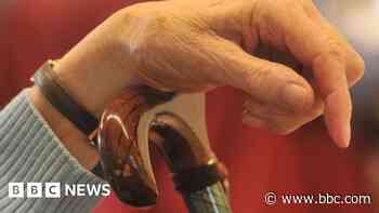 Carer tried to serve yoghurt in a dog bowl - report