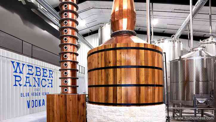 Former Patrón execs disrupt vodka category with blue Weber agave spirit typically found in tequila