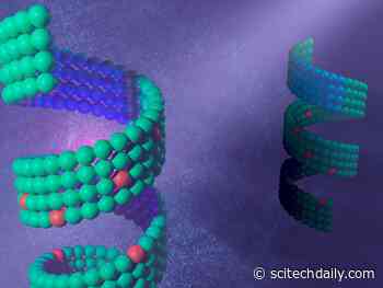 Nature’s Tiny Architects: Designing Molecular Shapes for Medical Miracles