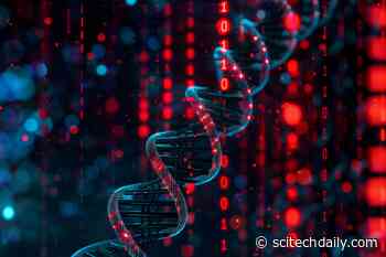 Scientists Unveil the Genetic Blueprint of Blood Pressure