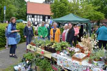 Gemüsepflanzen heiß begehrt