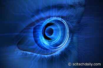 Scientists Discover Unique Building Block of Human Vision
