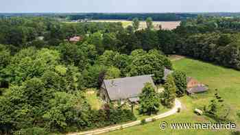 Neue Runde: Zieht dieses Promi-Paar ins „Sommerhaus der Stars“?