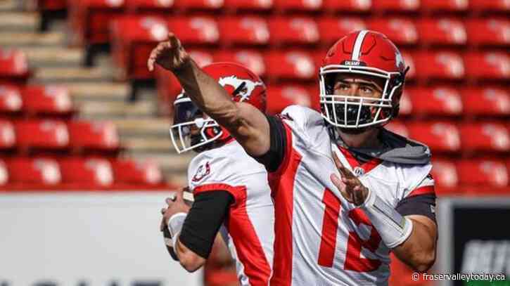 Calgary Stampeders’ training camp opens with an abundance of quarterbacks