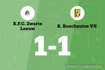 Zwarte Leeuw B speelt thuis gelijk tegen Boechoutse VV