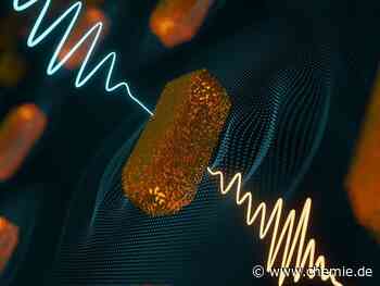 Forschende können das Entstehen und die Dämpfung eines plasmonischen Feldes jetzt genau messen