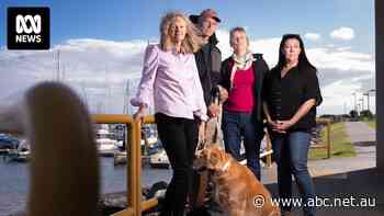 Coastal home owners petition their opposition to Scarborough Harbour revitalisation