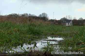 Nog geen duidelijkheid over toekomst van gebied Zevenhuizen in Lint